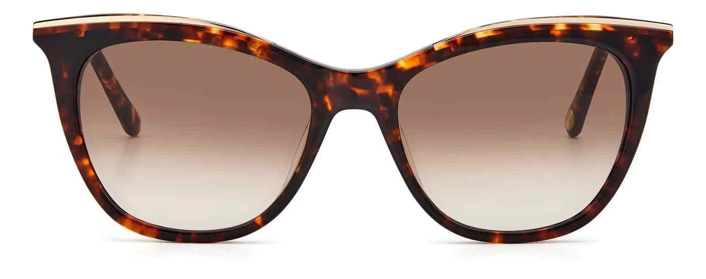 Fossil 2103 Sunglasses - view 16